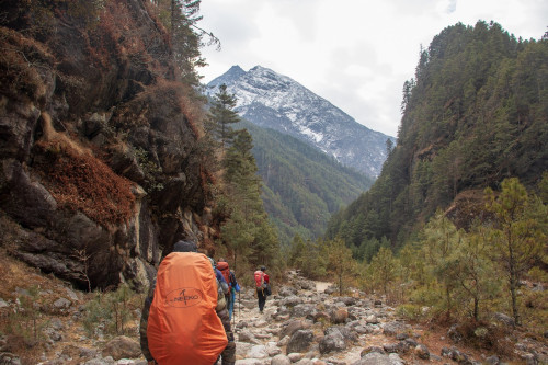 What to do as support when getting rolled in Nepal?